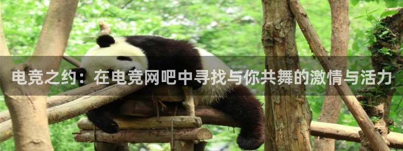 火狐电竞：电竞之约：在电竞网吧中寻找与你共舞的激情与活力