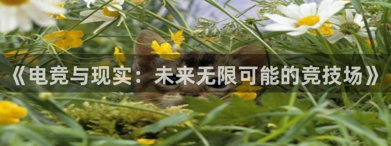 火狐电竞怎么样：《电竞与现实：未来无限可能的竞技场》