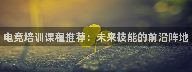 火狐电竞网页版：电竞培训课程推荐：未来技能的前沿阵地