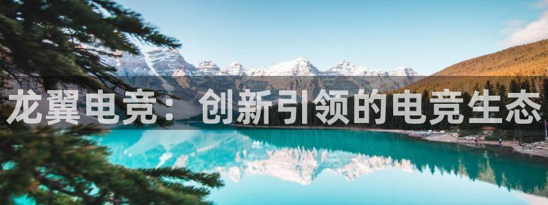 火狐电竞在线入口官网：龙翼电竞：创新引领的电竞生态