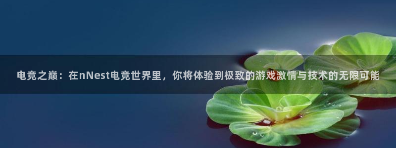 火狐电竞登录app：电竞之巅：在nNest电竞世界里，你将体验到极致的游戏激情与技术的无限可能