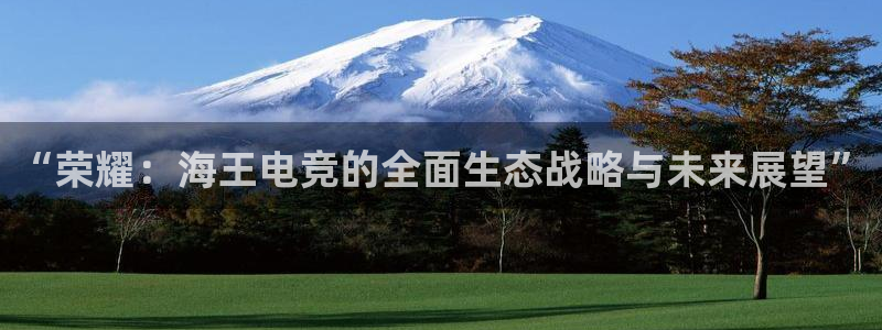 火狐电竞APP官网正版下载：“荣耀：海王电竞的全面生态战略与未来展望”