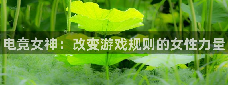 火狐电竞在线入口官网：电竞女神：改变游戏规则的女性力量