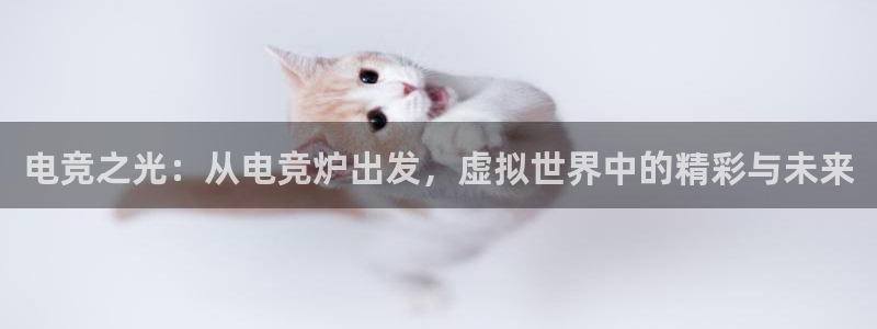 火狐电竞官方网站：电竞之光：从电竞炉出发，虚拟世界中的精彩与未来