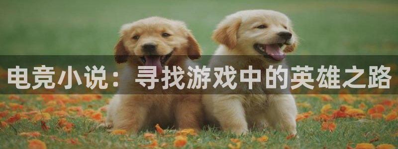 火狐电竞网站：电竞小说：寻找游戏中的英雄之路
