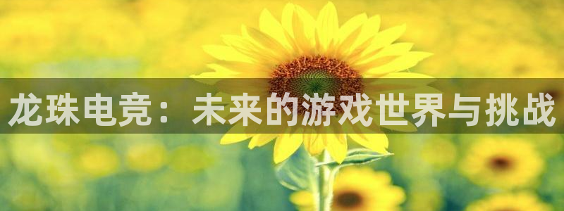 火狐电竞网页版入口：龙珠电竞：未来的游戏世界与挑战